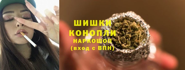 шишки Аркадак
